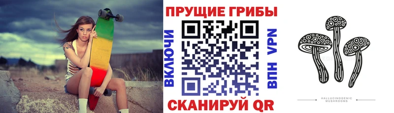 Псилоцибиновые грибы GOLDEN TEACHER  Купить закладки  Дмитров 